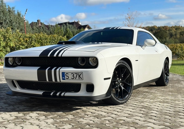 Dodge Challenger cena 164000 przebieg: 48000, rok produkcji 2019 z Katowice małe 781